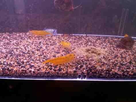 post-80-139909847682_thumb.jpg