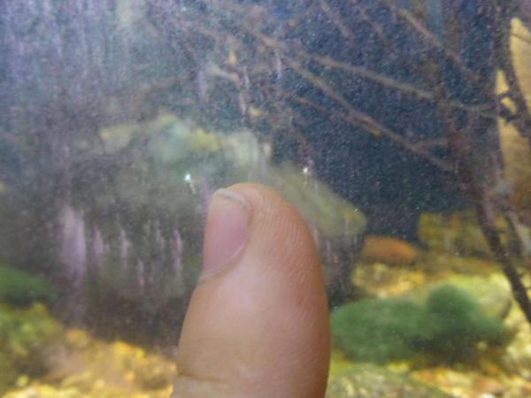 post-51-0-32877400-1425529500_thumb.jpg