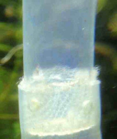 post-23-139909850344_thumb.jpg