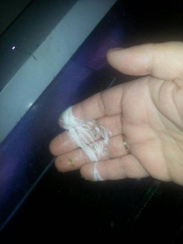 post-3445-139909862392_thumb.jpg