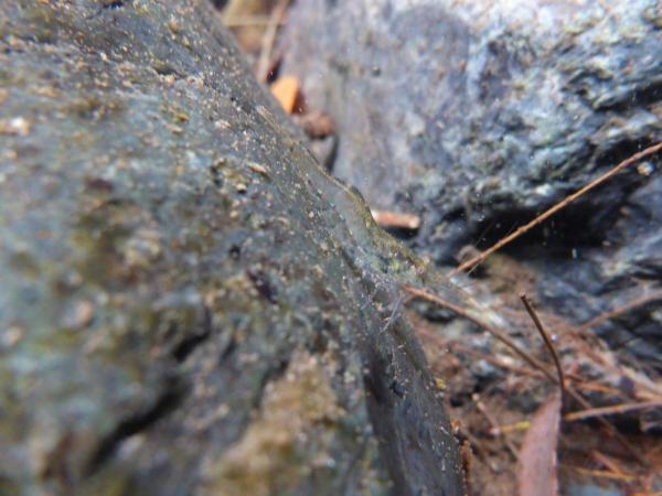 post-51-0-91149000-1417320855_thumb.jpg
