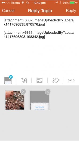 post-25-14176968590291_thumb.jpg
