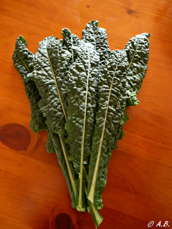 More information about "Kale"