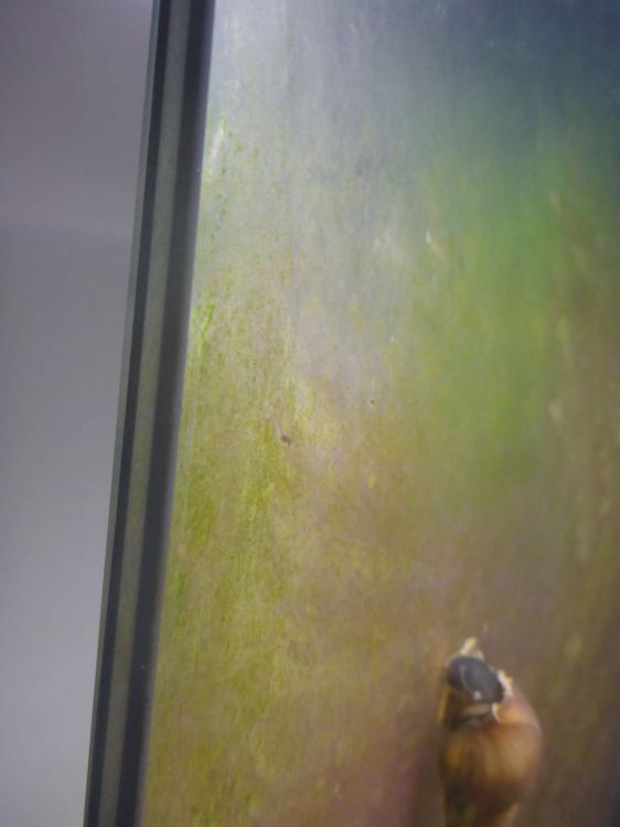P1040296-P50.thumb.jpg.ff3b7718d354ad0c1