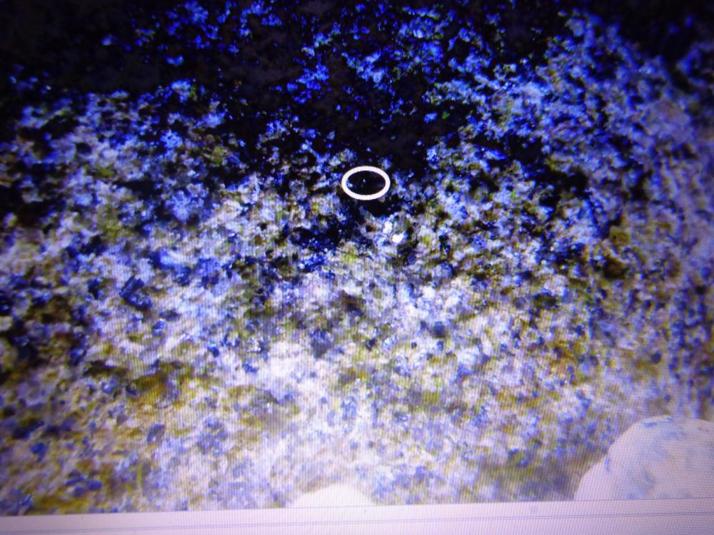 ebay_photos_004.thumb.JPG.597b974d6ddc5b