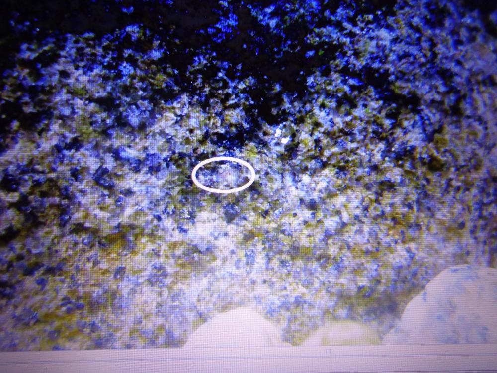 ebay_photos_005.thumb.JPG.9cf492ba8a33d7