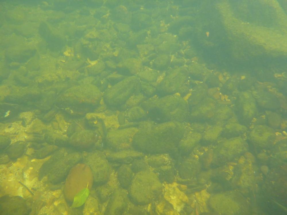 P1040914.thumb.JPG.6e0f334df5b161f2e07b7