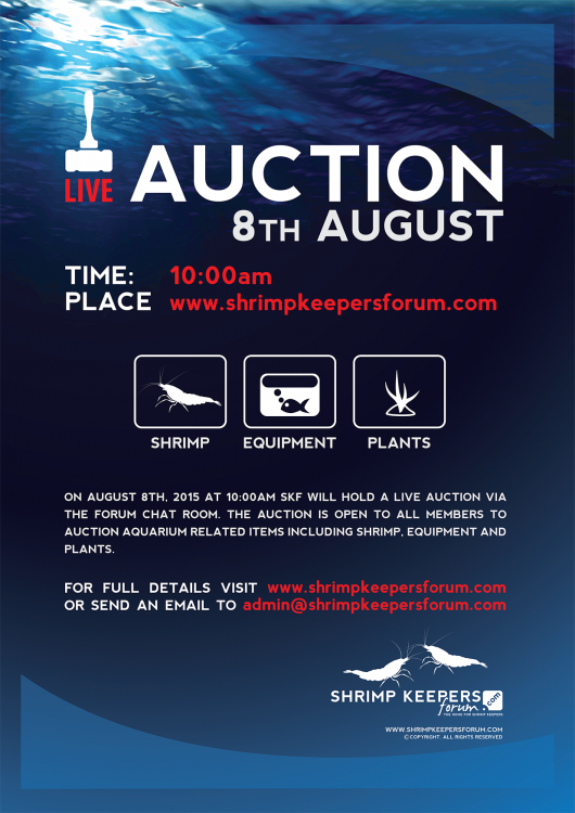 SKF_Auction_Poster.thumb.png.b50cd9c7890