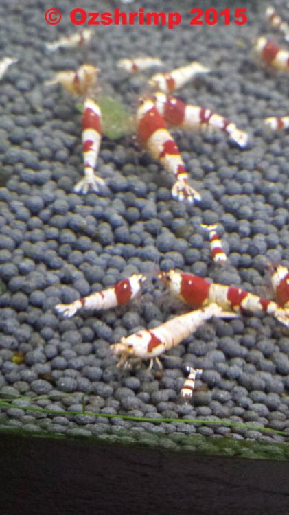 20150819_183424.jpg