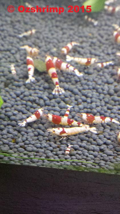 20150819_183429.jpg