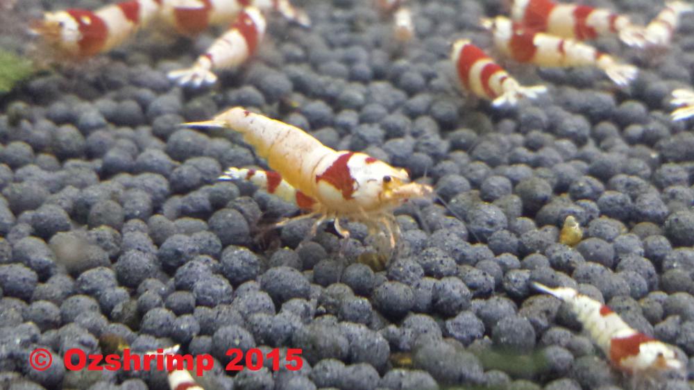 20150819_183504.jpg