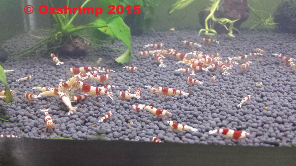 20150819_183548.jpg