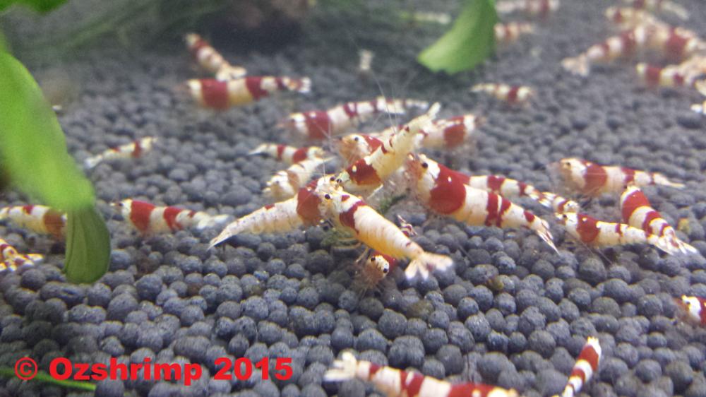 20150819_183556.jpg