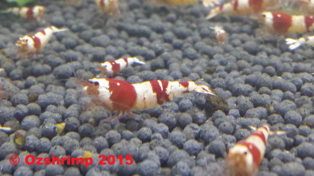 20150819_183704.jpg