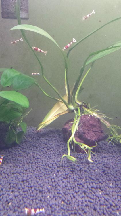 20150826_120907.jpg