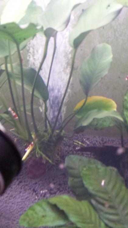20150826_120916.jpg