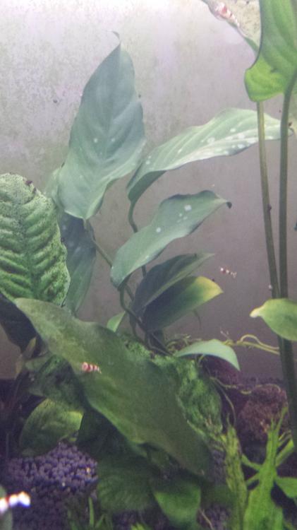 20150826_120925.jpg