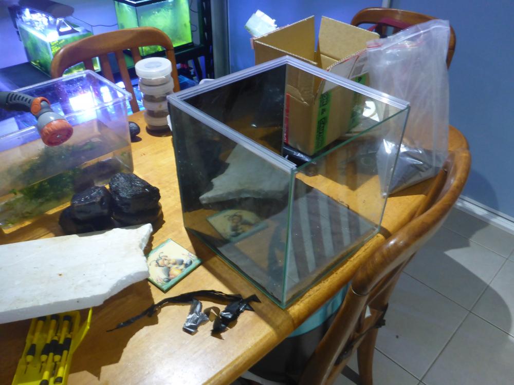 P1060553.thumb.JPG.9abf8c8ddbd79385e4250