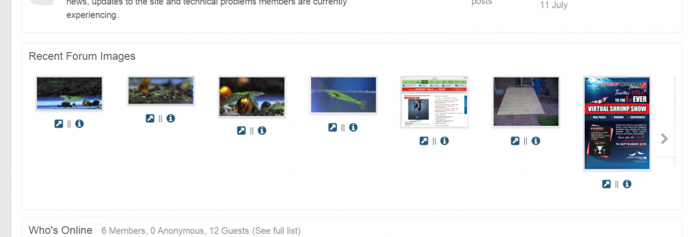Recent_Forum_Images.thumb.PNG.3d1cdfe1da