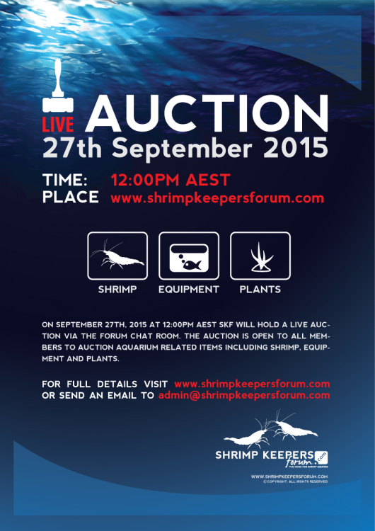 SKF-Auction-Poster-Sept-2015.thumb.png.e
