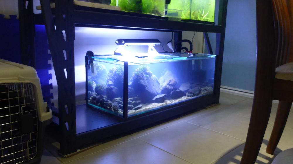 image.thumb.jpg.6d679cd23b76a1d2b58b2637