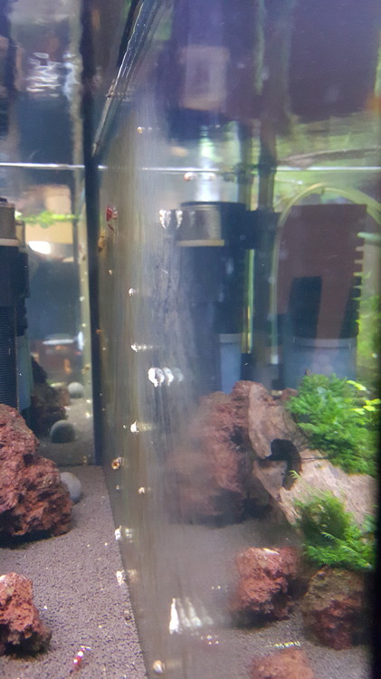 20150918_212243_001.thumb.jpg.595f099d78