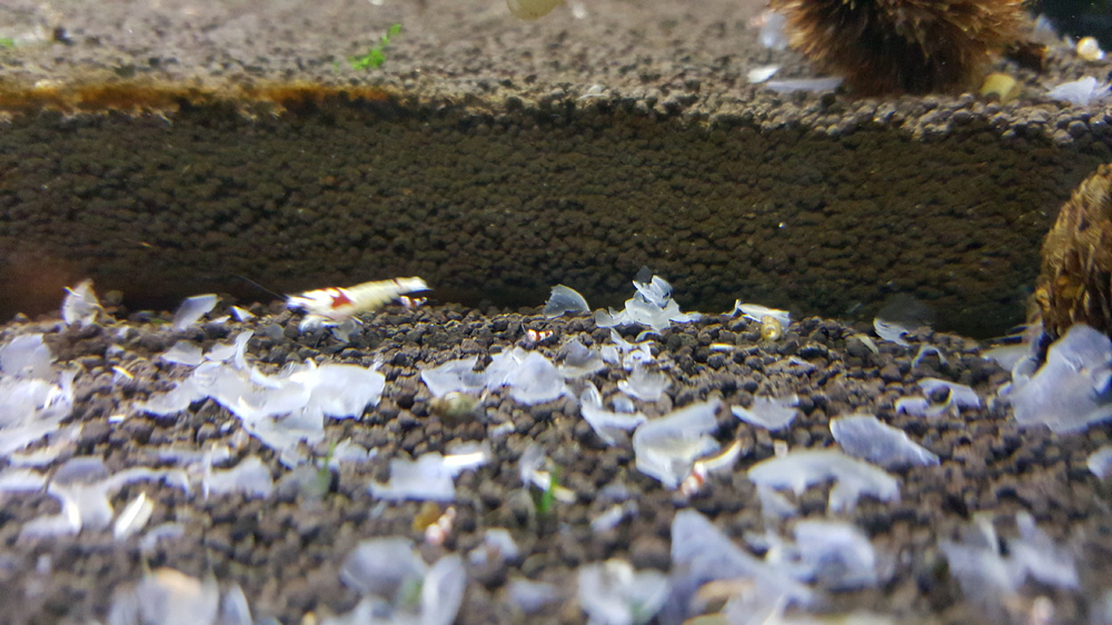 20150918_212726.thumb.jpg.9e420a664eb9d5