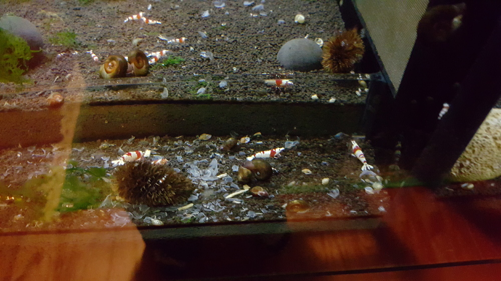 20151027_214004.thumb.jpg.e72b30d1165558