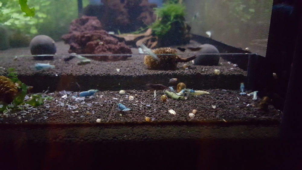 20151027_215939.thumb.jpg.5070e4c608be04
