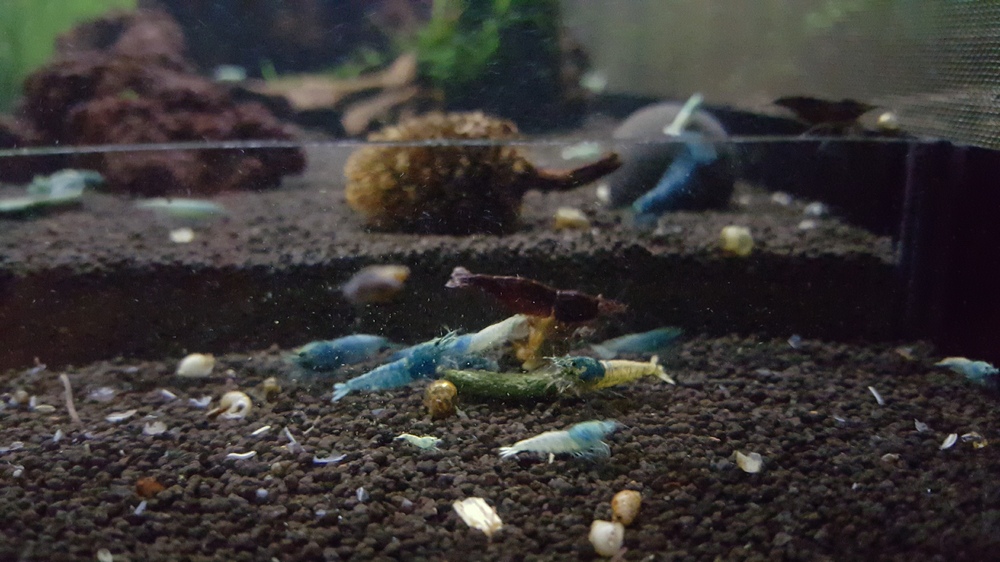 20151027_215952.thumb.jpg.96ef3385ed24c8