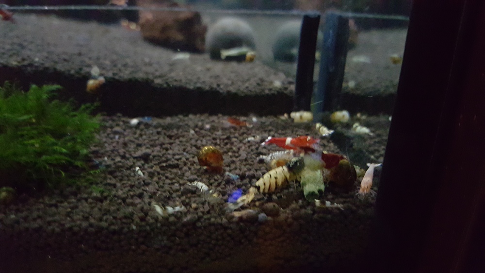 20151027_220016.jpg