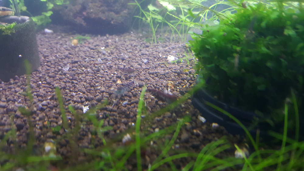 20151027_220729.thumb.jpg.b5e7cb25be2401
