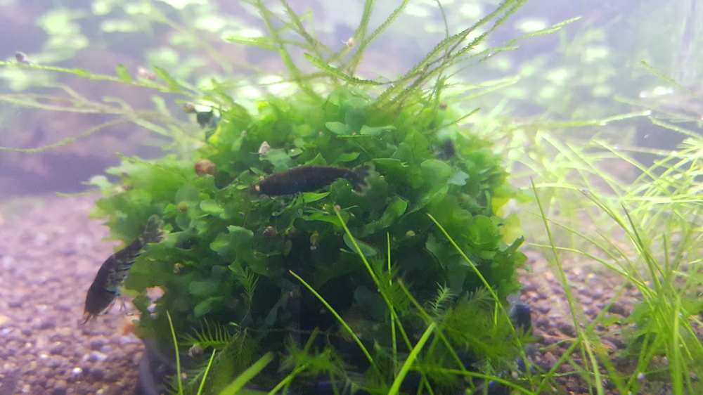 20151027_220823.jpg