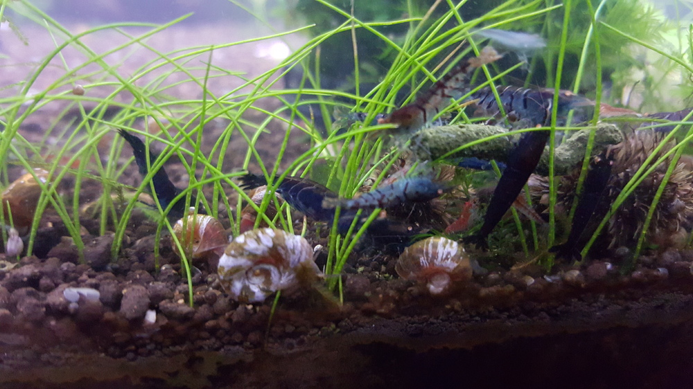 20151027_220835.thumb.jpg.521a6a3aa4e01b