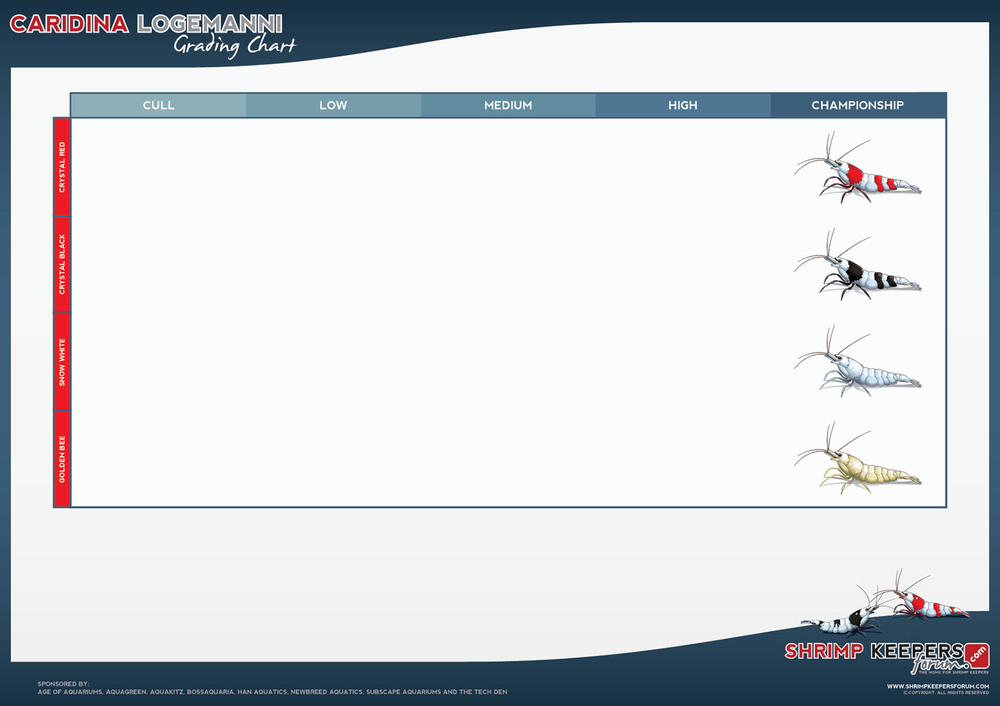 SKF_Caridina_Logemanni_Grades_POSTER2_01