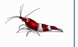 image.thumb.png.ab40fd7d48dde7a55ea61922