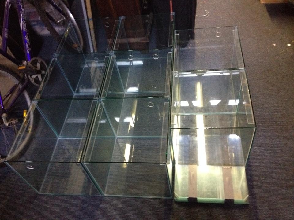 tank2.thumb.jpg.f4cef6379a3c204c40abea72