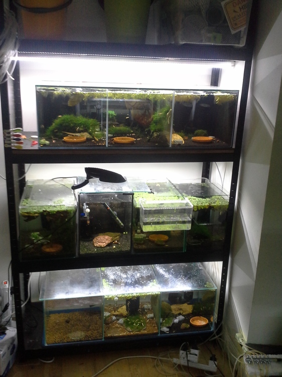 20151101_165913.thumb.jpg.70a0a39824efdd