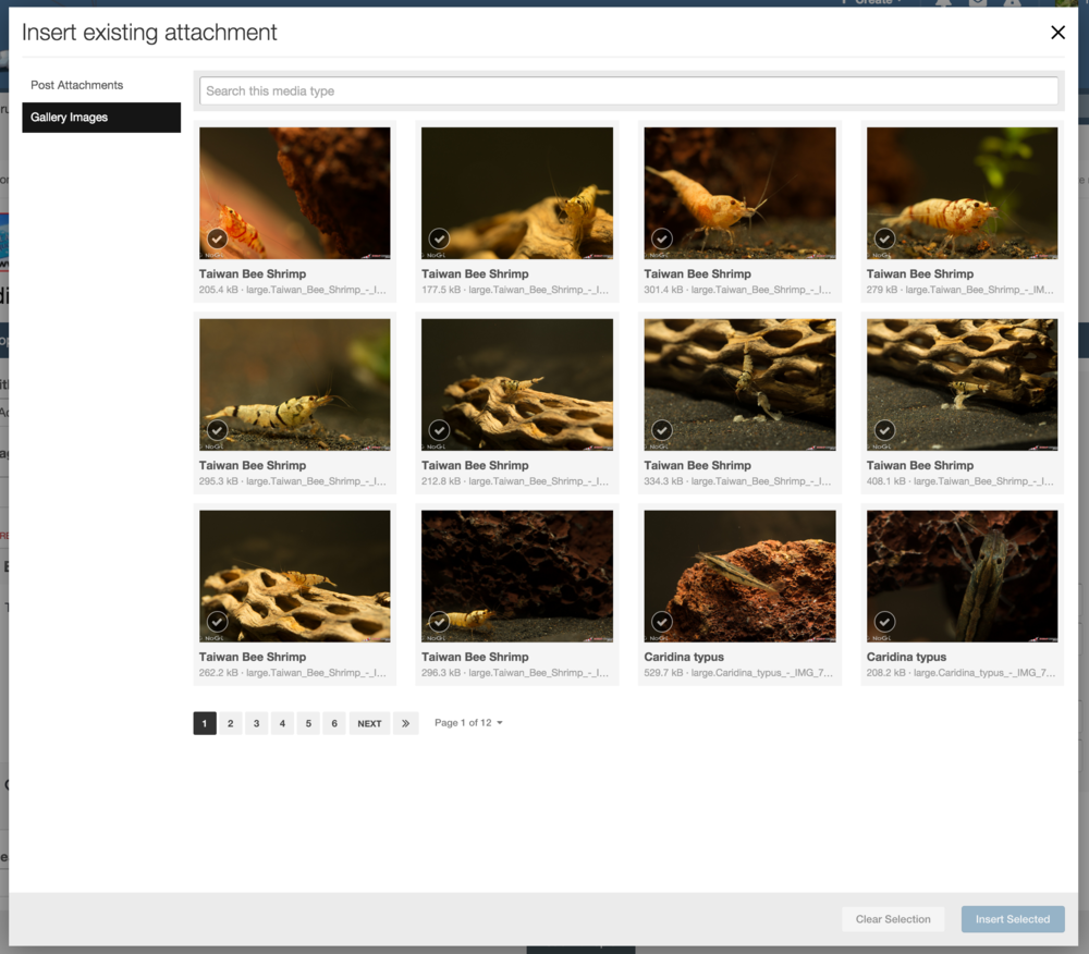 563ed263f357e_Insertexistingattachment.t