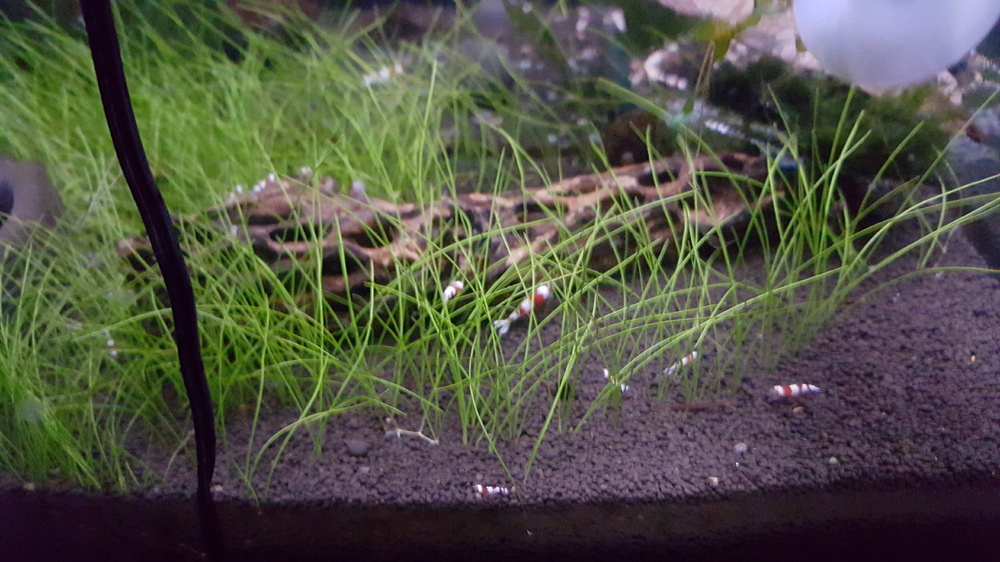 20151209_190111.jpg