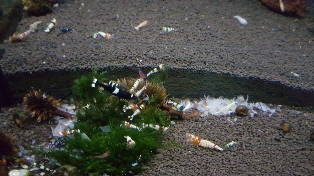 20151209_190923.jpg