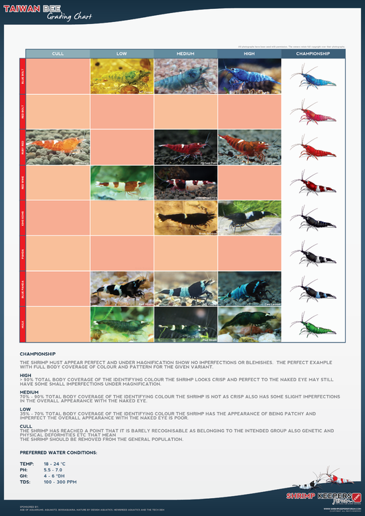 SKF_Taiwan_Bee_Photo_Grades.thumb.png.9a