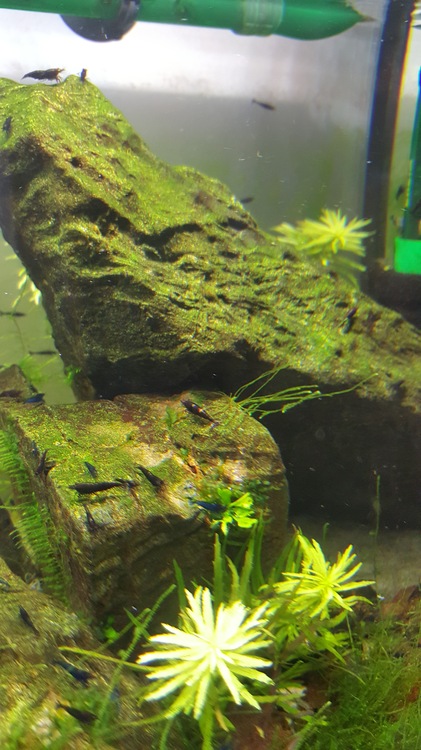 20160126_100538.jpg