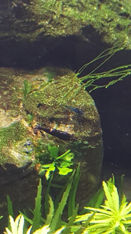 20160126_100608.jpg