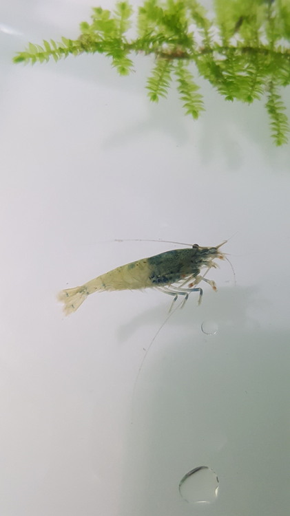 20160130_224715.jpg