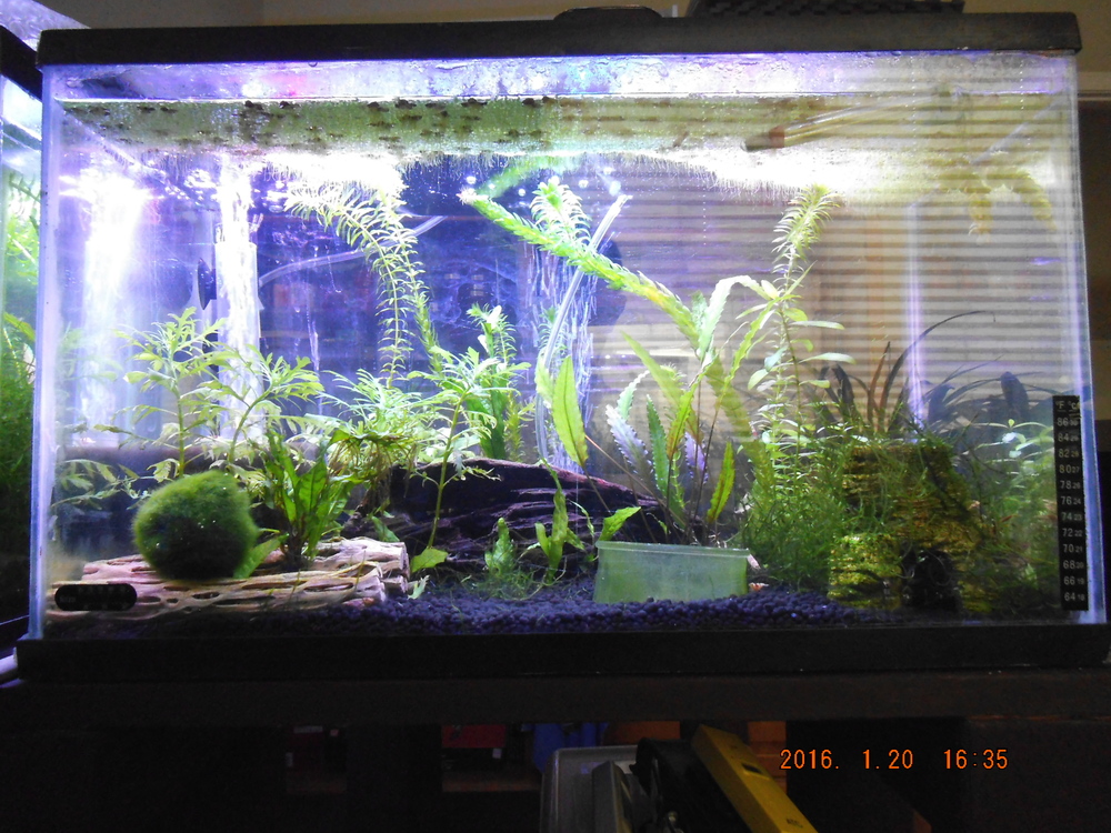 DSCF0971.JPG
