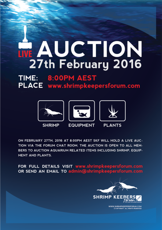 SKF-Auction-Poster-Feb-2016.thumb.png.b8