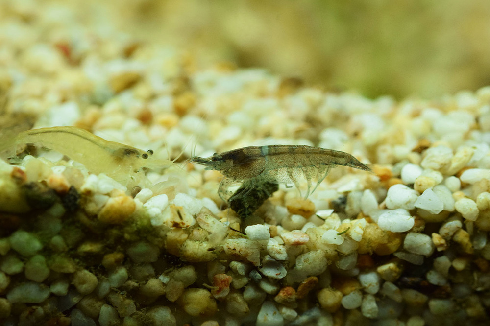 DSC_0103small.jpg