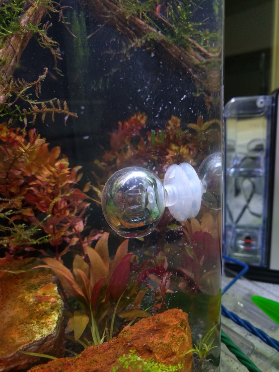 IMG_20160312_061003.jpg