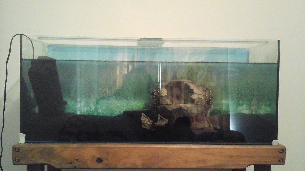 20160427_093945.jpg